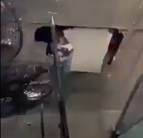 BSF