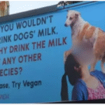 PETA