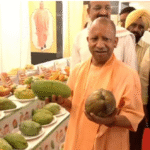 आम महोत्सव 2025