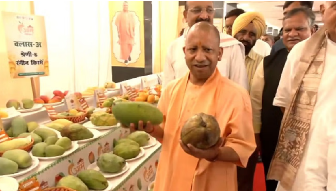 आम महोत्सव 2025