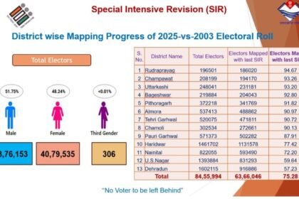 मतदाता सूची पुनरीक्षण