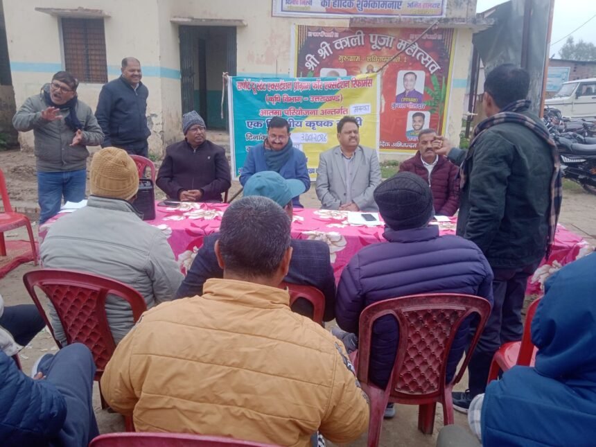 ग्रीष्मकालीन धान