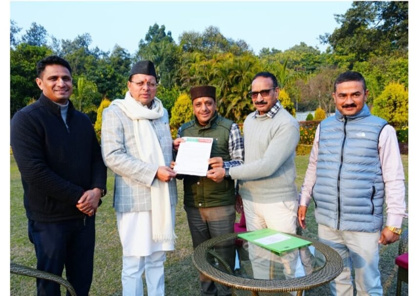 हेली सेवा