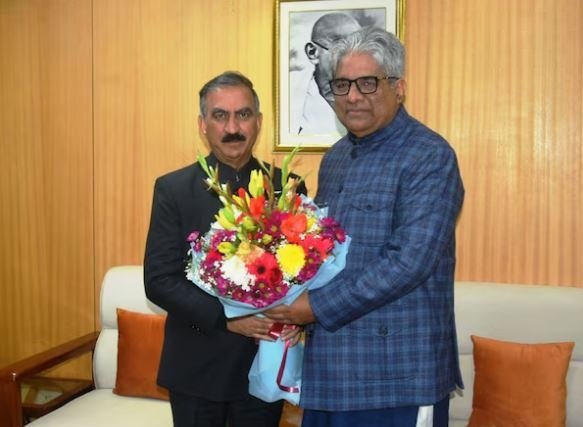 वास्तविक ट्री कवर