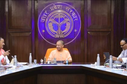 सीएम फेलो