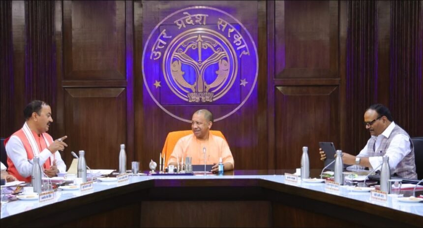 सीएम फेलो