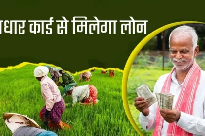 डिजिटल क्रेडिट सिस्टम