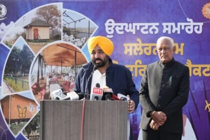 सुरक्षा फोर्स