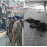 मच्छी बाजार