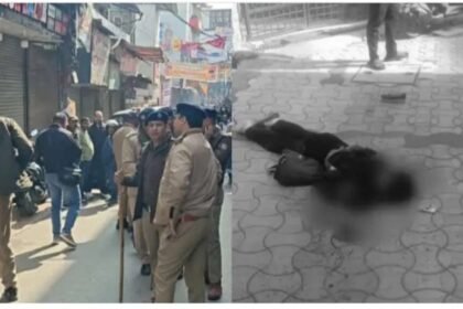 मच्छी बाजार