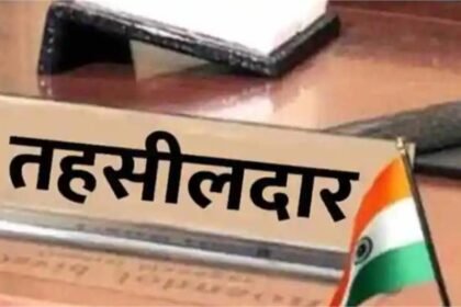 राजस्व विभाग