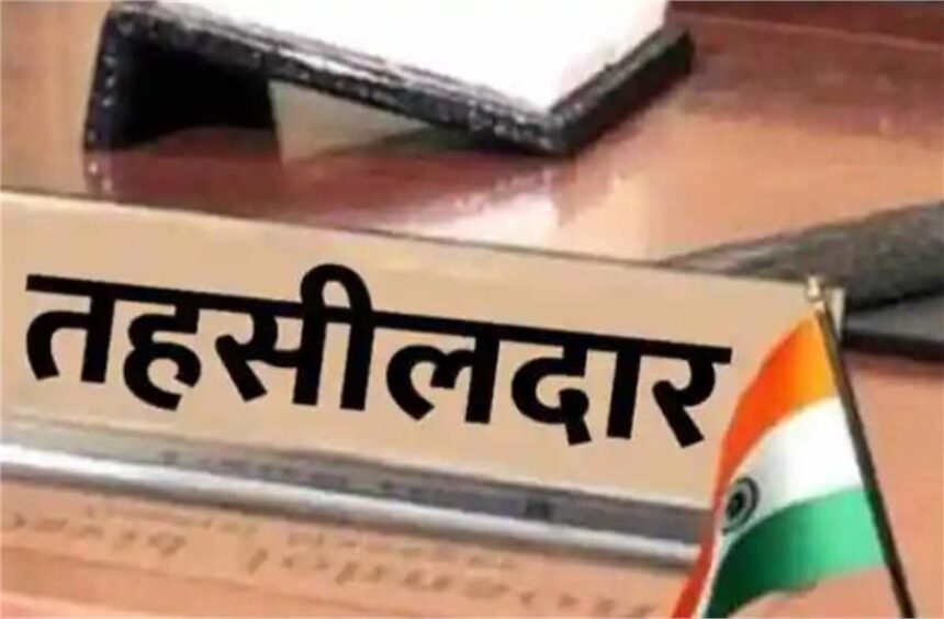 राजस्व विभाग