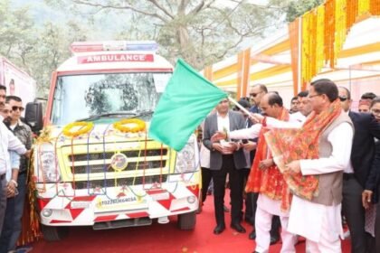 बहल पेपर मिल