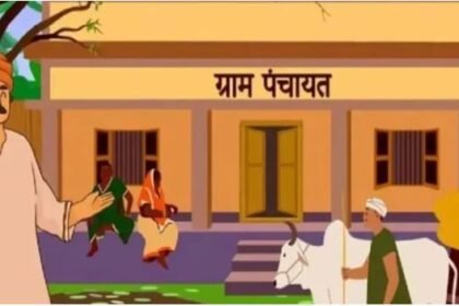 पंचायती राज संस्थाओं