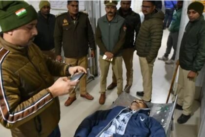 कालोनाइजर