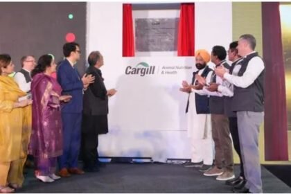 रंगला पंजाब